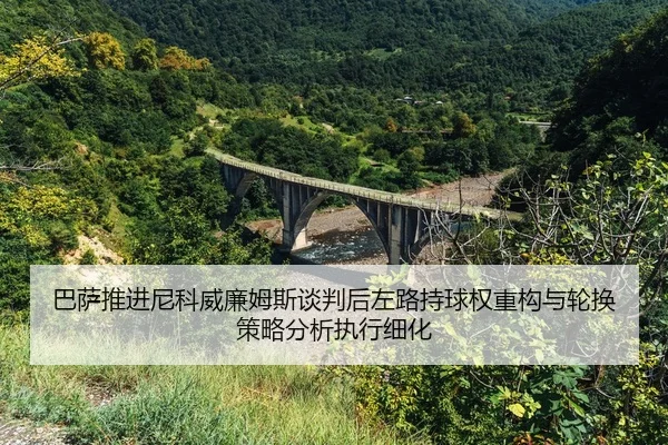 ba-sa-tui-jin-ni-ke-wei-lian-mu-si-tan-pan-hou-zuo-lu-chi-qiu-quan-zhong-gou-yu-lun-huan-ce-lve-fen-xi-zhi-xing-xi-hua-2-228.jpg